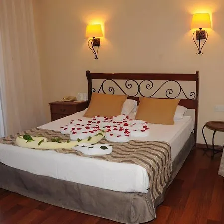 Hotel Iron Ambassador Side 4*