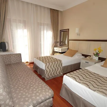 Hotel Iron Ambassador Side 4*