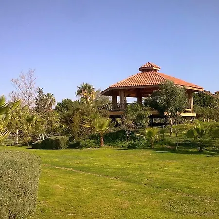 Hotel Iron Ambassador Side 4*